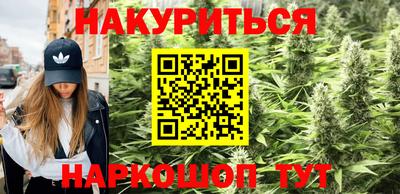 каннабис Новозыбков