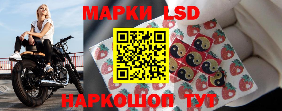 Пенза  ЛСД экстази  Вход с VPN  LSD-25 экстази кислота  ЛСД экстази кислота 