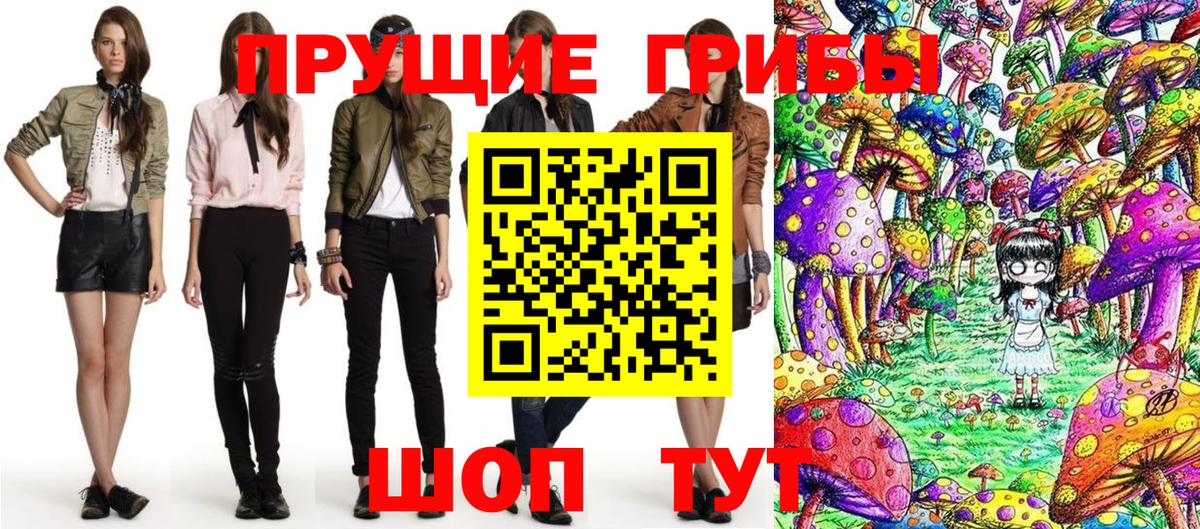 Пенза  Псилоцибиновые грибы Cubensis  даркнет сайт  Вход с VPN 